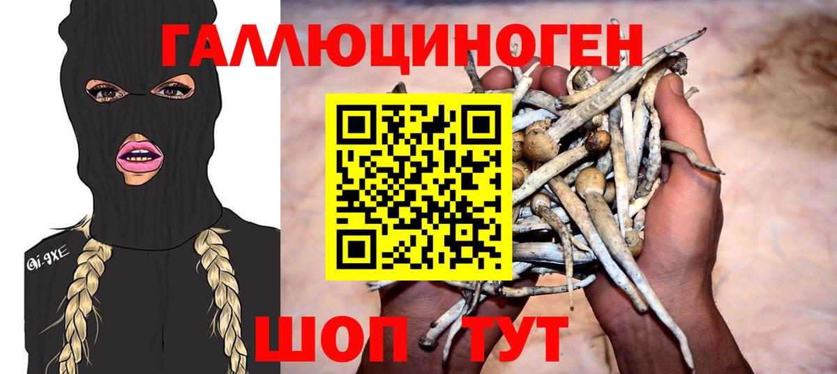 Псилоцибиновые грибы мухоморы  Вход с VPN  хочу   Галлюциногенные грибы Psilocybe  Родники 